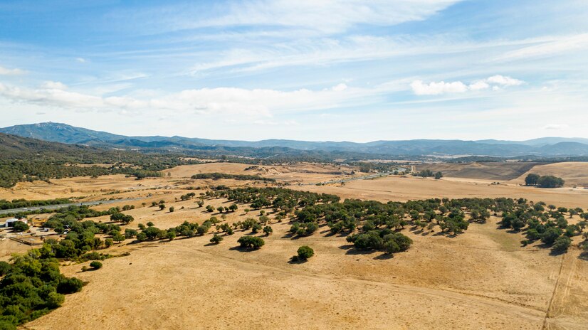 land for sale arizona.