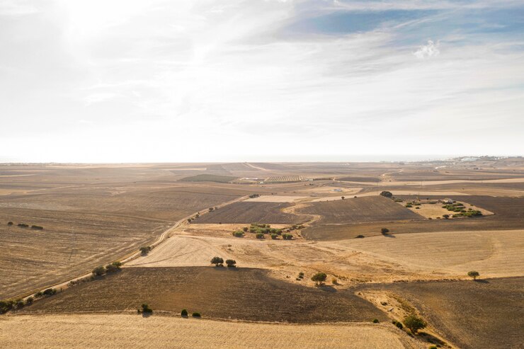 land for sale arizona.