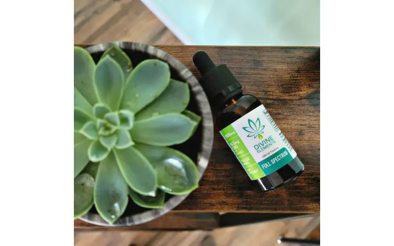 cbd skin care