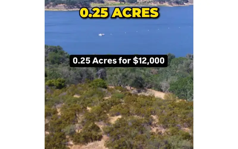 buy land in florida
